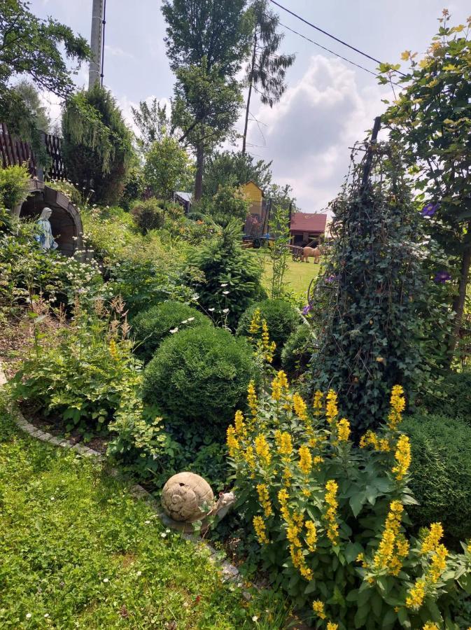 Noclegi U Ilony Czarna Góra Dış mekan fotoğraf